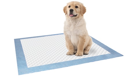PP01 Pet Pad