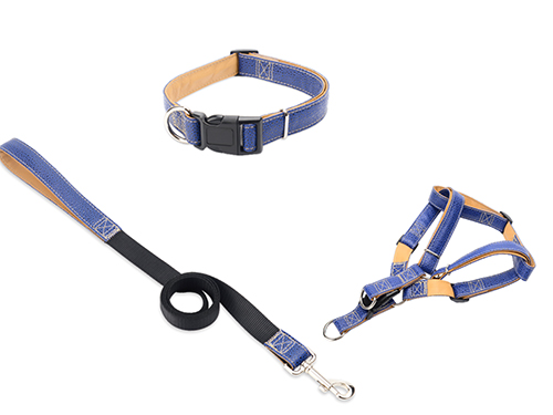 PH01  Harness
